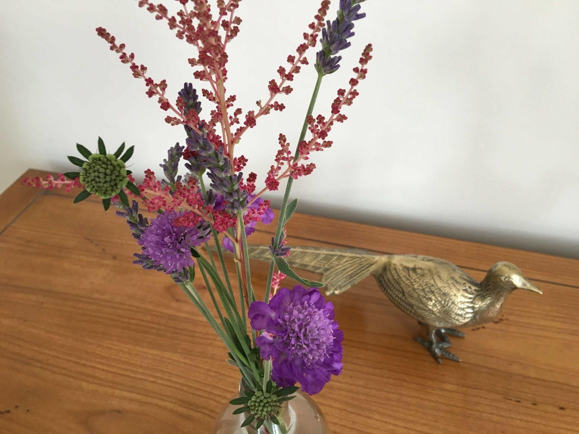Firhall Highland B&B Grantown-on-Spey 외부 사진